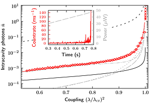 Real-time observation of fluctuations at the driven-dissipative Dicke phase transition