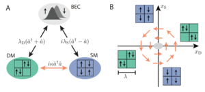 Dissipation Induced Structural Instability and Chiral Dynamics in a Quantum Gas