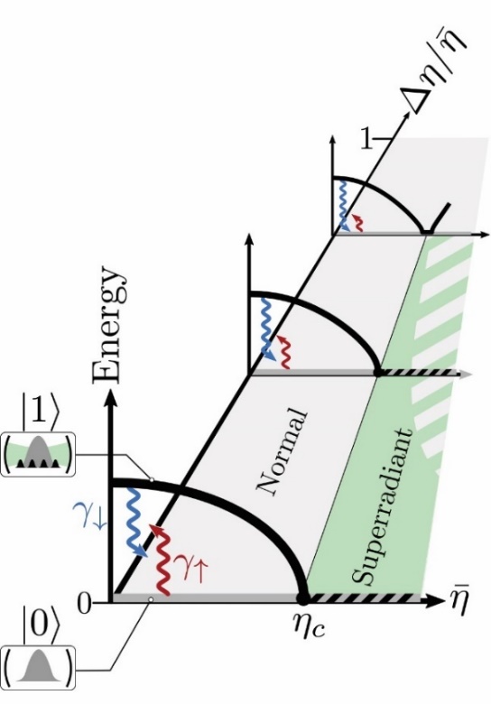 Emerging dissipative phases in a superradiant quantum gas with tunable decay