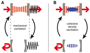 Cavity Optomechanics with a Bose-Einstein Condensate