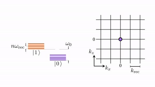 Observing dynamical currents in a non-Hermitian momentum lattice