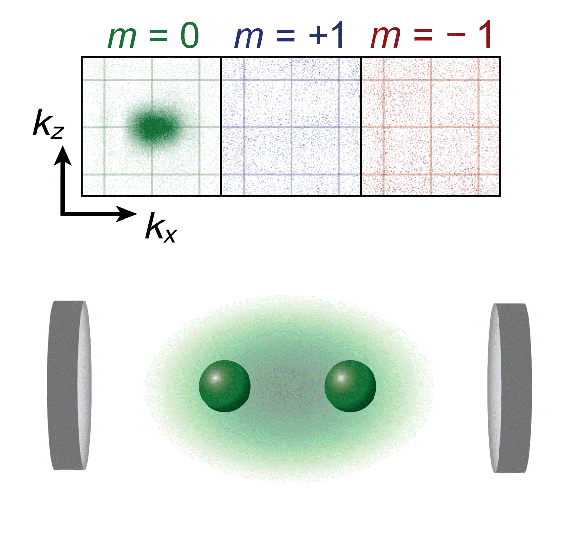 Spin- and momentum-correlated atom pairs mediated by photon exchange and seeded by vacuum fluctuations